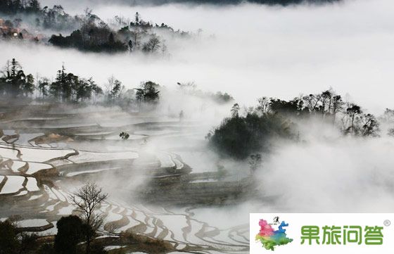 水墨畫一般的元陽梯田實(shí)拍
