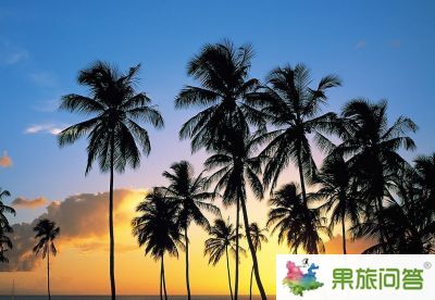 【昆明直飛三亞】瀟灑蜈支洲——天涯海角、蜈支洲島、南山文化苑