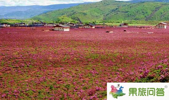 昆明、大理、麗江、瀘沽湖、西雙版納生態(tài)休閑之旅【帶石林九鄉(xiāng)】