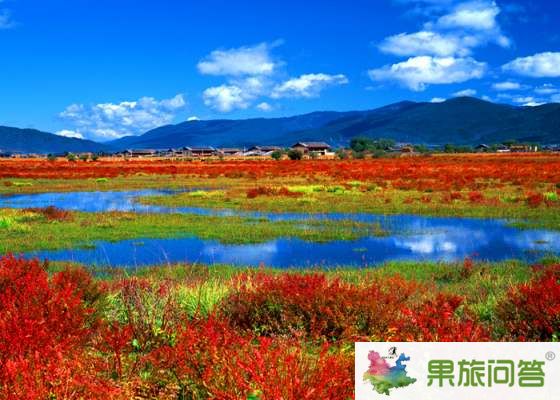 昆明、大理、麗江、香格里拉 7晚8天 生態(tài)休閑之旅
