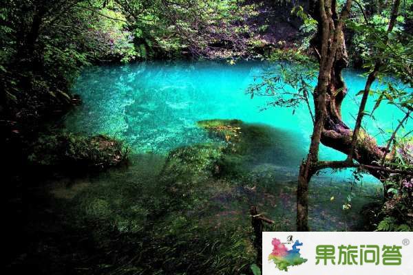昆明、大理、麗江、西雙版納”7晚8天生態(tài)休閑之旅