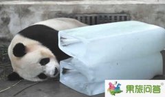 七月份去昆明旅游好玩嗎？