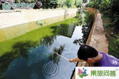 <b>昆明市上演小龍蝦大戰(zhàn)！小龍蝦涌進入滇河道危害極大市民展開捕殺</b>