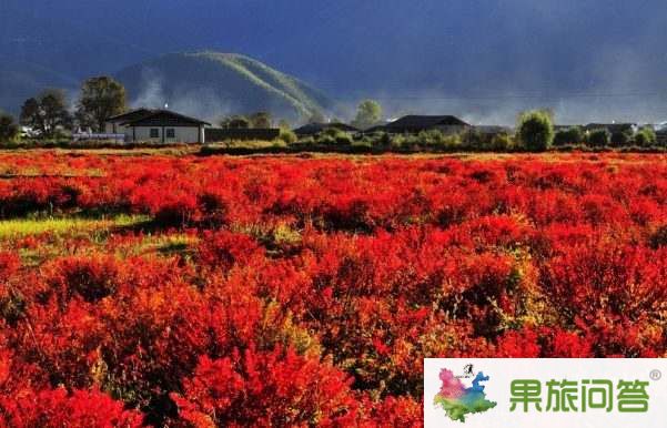 超值休閑游—麗江、香格里拉、大理六日游 HX