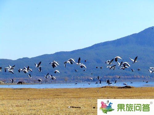 十年間:麗江穿越時光的愛戀 10大最美景點點評