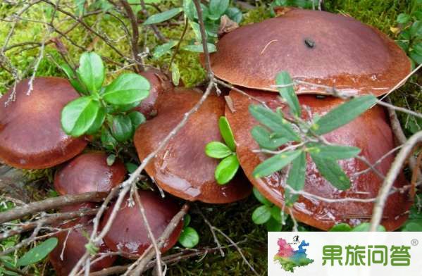 云南有什么好吃的？